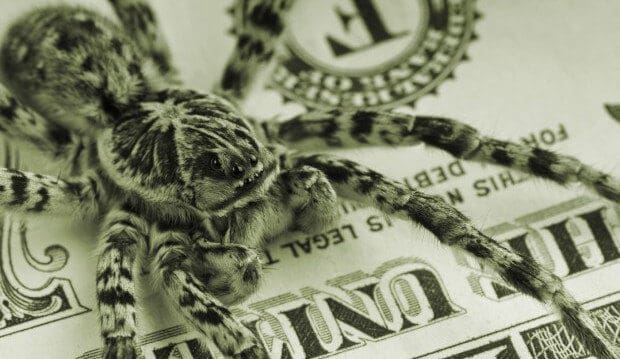 spider in dollar bill colors on top of a dollar bill