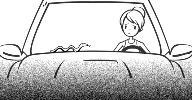 Kelsey Bell sits in her car with toy snake (illustrated)