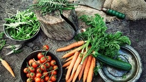 Fresh organic vegetables. Food background. Healthy food from garden