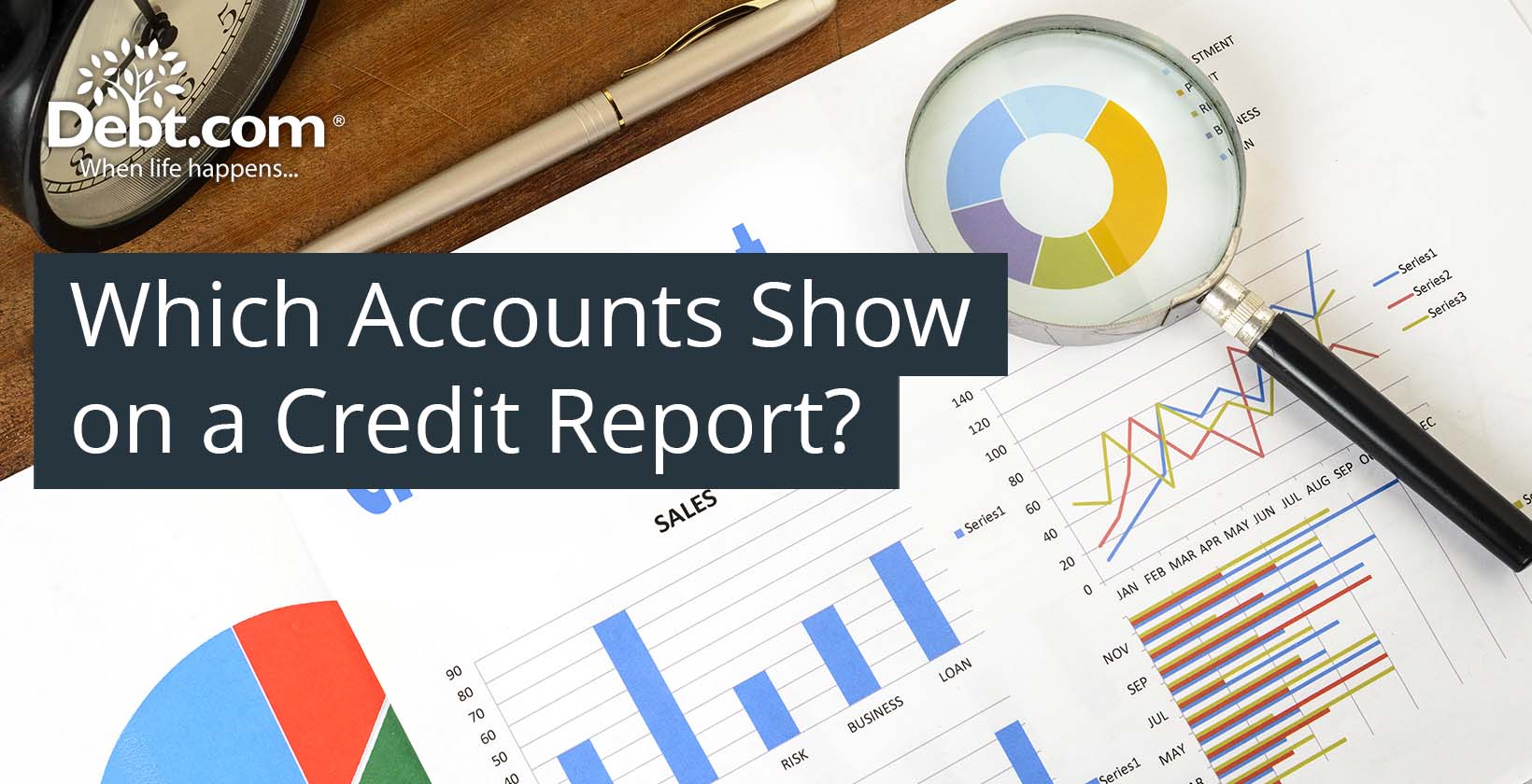 Which Accounts Show on a Credit Report?