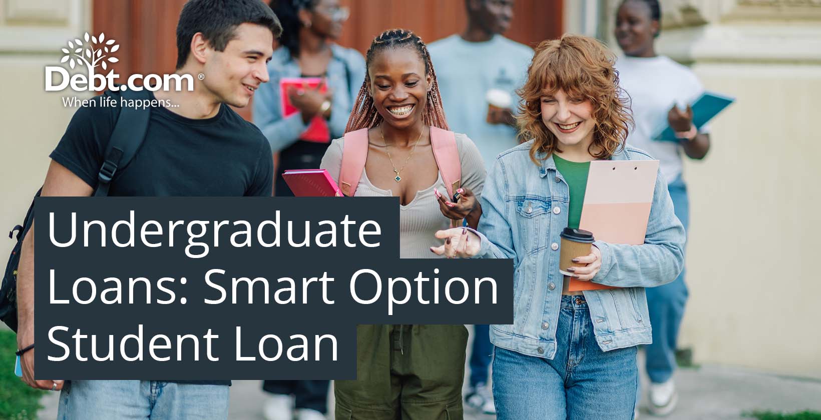 Undergraduate Student Loans