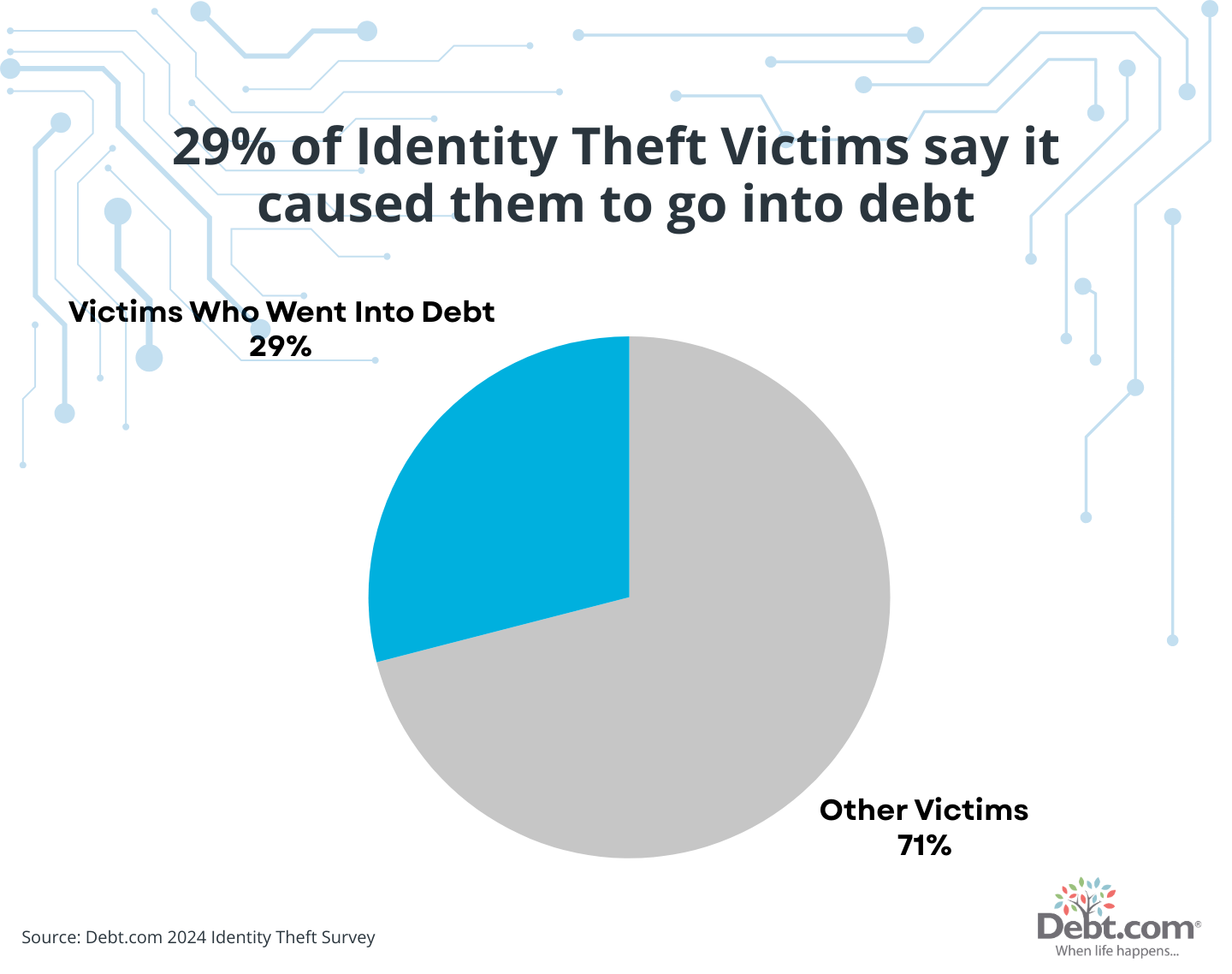 29% of identity theft victims say it caused them to go into debt.